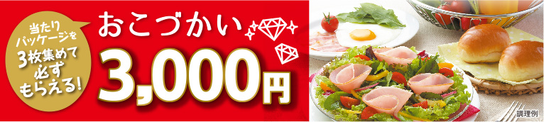 彩りキッチン おこづかい3,000円プレゼントキャンペーン