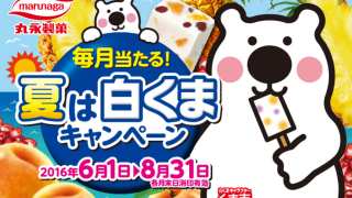 丸永製菓 夏は白くまキャンペーン【抽選で合計650名様に当たる！】
