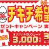 日本ハム チキチキボーンプレゼントキャンペーン！QUOカード3,000円分が当たる！