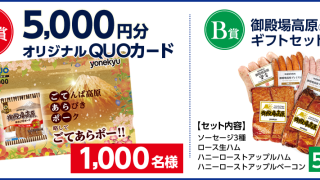 米久 ごてあらポー!! オリジナルQUOカード5,000円分が1,000名様に当たるキャンペーン